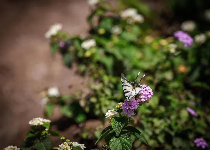 Casa vacanze Patmosphere Luxury Escape Adults-only *