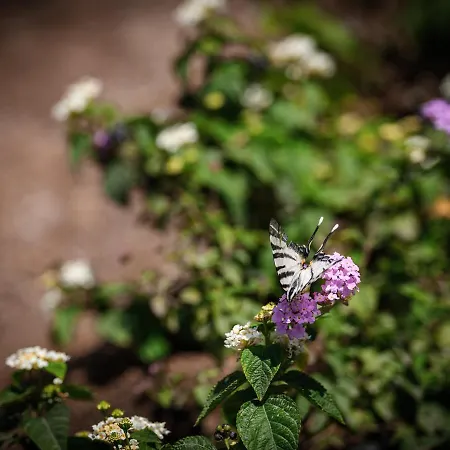 Prázdninový dům Patmosphere Luxury Escape Adults-only *