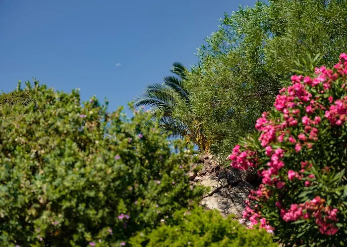 Patmosphere Luxury Escape Adults-only * Kámbos